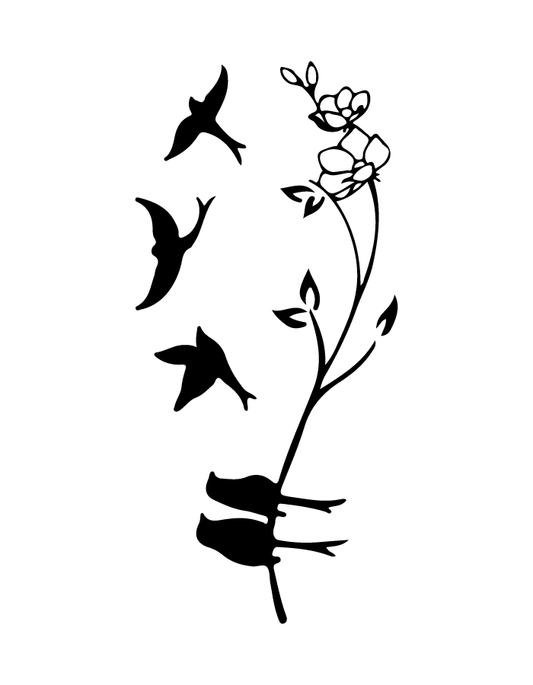 Birds Of Collar