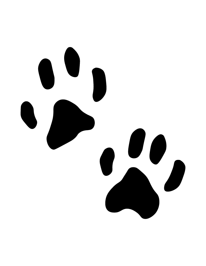 Paws semi-permanent tattoo – waterproof animal lover temporary tattoo by Inkmafia