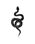 Serpent semi-permanent tattoo – waterproof snake design temporary tattoo by Inkmafia
